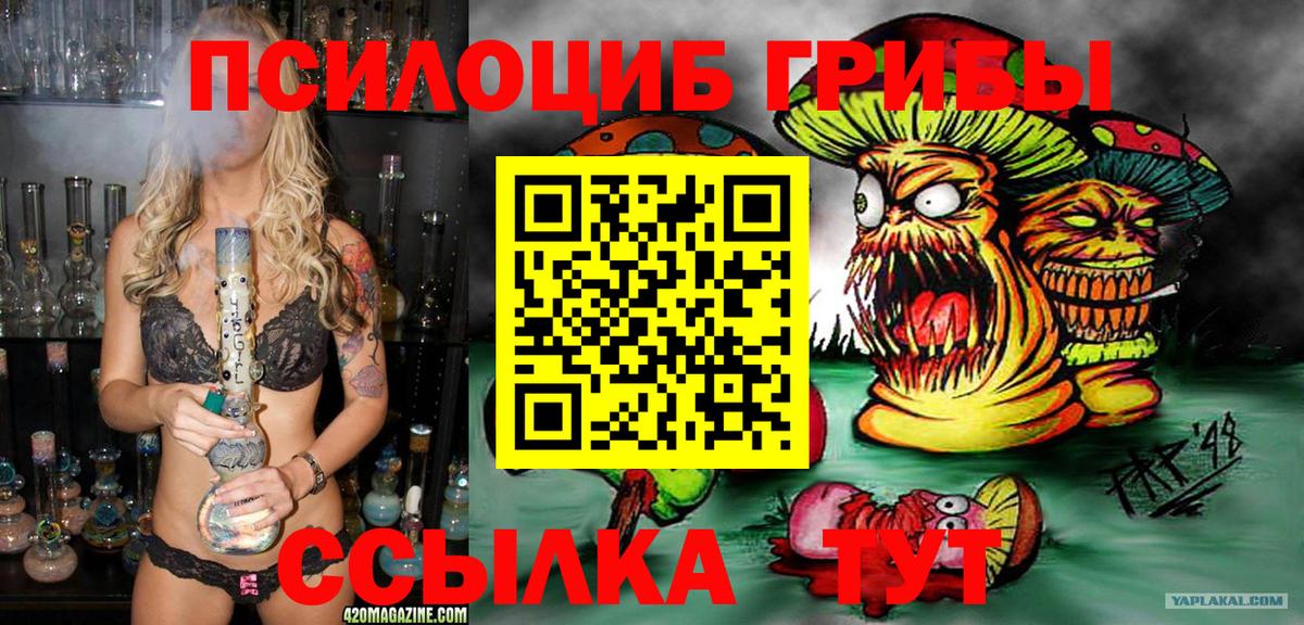 Псилоцибиновые грибы GOLDEN TEACHER Октябрьский